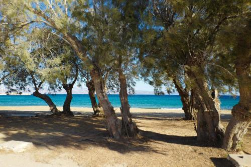 a group of trees on a beach near the water at casa maia in Kampos Paros