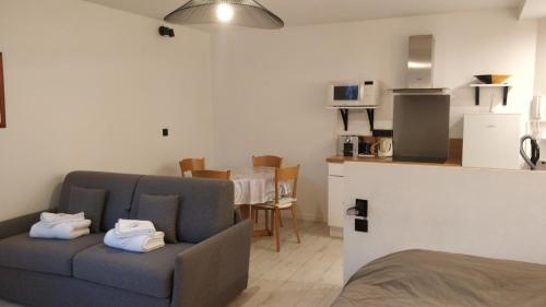 un salon avec un canapé et une cuisine dans l'établissement Studio tout confort pour 4 pers, à Vanves