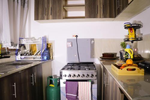 une cuisine avec une cuisinière et un comptoir dans l'établissement Summit View Suite - A two bedroom Apartment, à Nanyuki