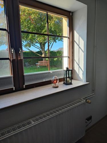 a window with a view of a bench and a tree at Apartment Walnuss in Katlenburg-Lindau