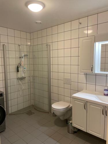 a bathroom with a toilet and a shower and a sink at privat room in penthouse Beautiful wiew in the heart of city center in Alta
