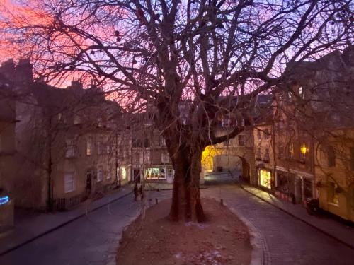 a tree in the middle of a street at night at Elegant & Romantic - Entire Flat with 2 Magnificent Views in Bath