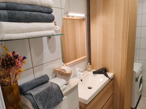 une salle de bain avec un lavabo, un miroir et des serviettes dans l'établissement Nid douillet et lumineux, à Paris