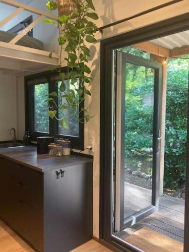 a kitchen with a large window and a plant at Sfeervol Tiny House in het Bos in Diessen