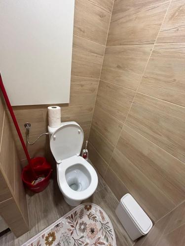 a bathroom with a white toilet in a room at Apartmán ve městě Pernink pro 2 osoby in Pernink