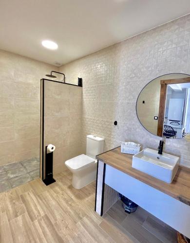 a bathroom with a toilet and a sink and a mirror at Casa Rural MaciasDehesa in Mérida