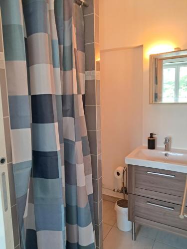a bathroom with a shower curtain and a sink at Studio Pont de Sèvres bien situé in Sèvres