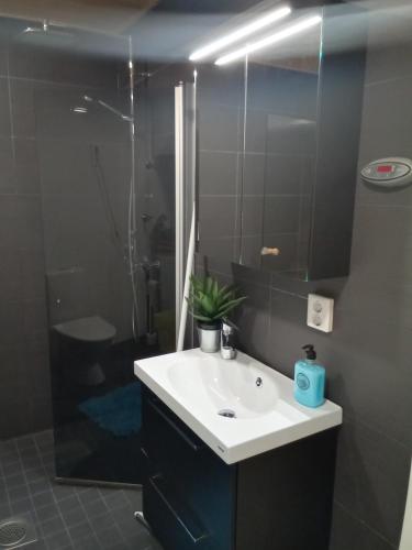a bathroom with a white sink and a shower at TAMPERE PENTHOUSE-tasokas moderni kaupunki huoneisto huipulla -ISO JACUZZI omalla KATTOTERASSILLA - AURINKOTUOLIT ja Aurinko odottaa Sinua - huikea maisema- - 10 HLÖ - free parking in Tampere