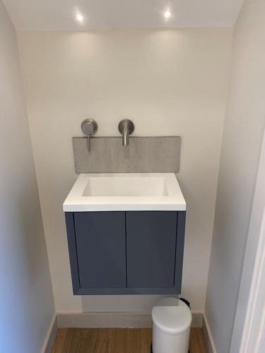 a bathroom with a sink and a toilet at The Barn in Swanmore