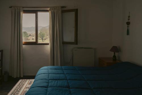 a bedroom with a blue bed and a window at Cabañitas EL REPOSO HUMAHUACA in Humahuaca