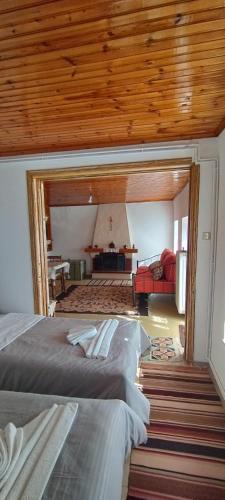 Gallery image of karaste chalet in Arachova