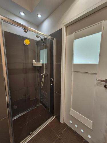 a shower with a glass door in a bathroom at Kasprzaka Apartment parking in Łódź