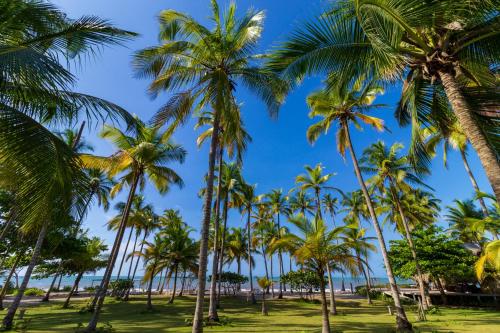 a group of palm trees on the beach at Hotel Chiniu in Palomino