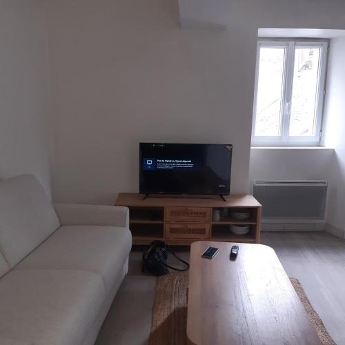 un salon avec un canapé et une télévision à écran plat dans l'établissement Nantes Erdre, Île de Versailles, à Nantes