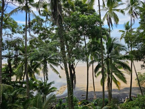 a view of the beach through the palm trees at El Remanso Saboga Suites & Studios in Saboga