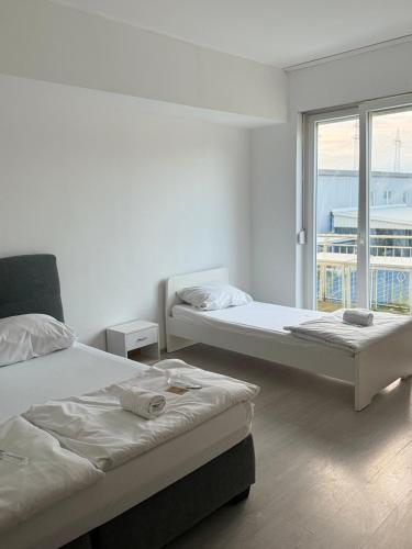 two beds in a white room with a window at Shirdel Pension in Gaimersheim