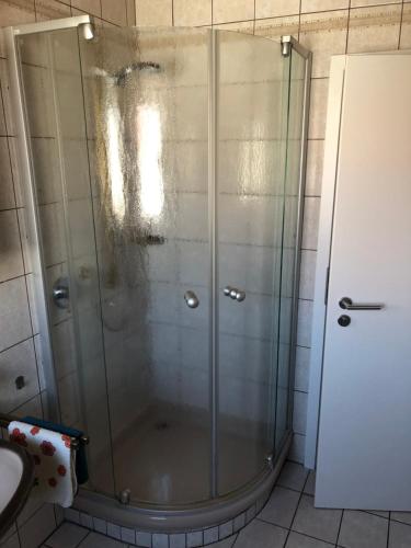 a shower with a glass door in a bathroom at Appartementhaus AdiS in Aresing