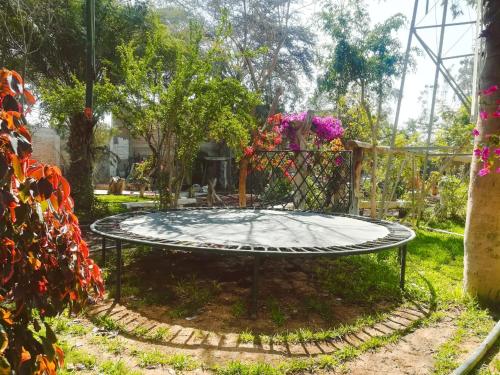 a trampoline in a garden with flowers at Hotel & Hacienda El Carmelo in Ica