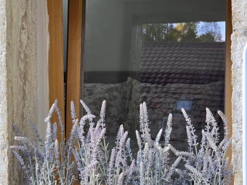Fotografie z fotogalerie ubytování Babylone v destinaci Orvin
