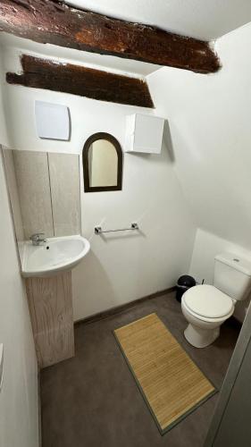 une salle de bain avec toilettes et lavabo dans l'établissement Charmante maison de village, à Condat-sur-Vézère