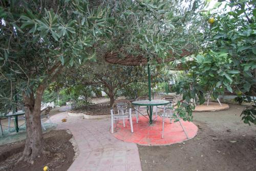 a table and chairs sitting under a tree at Résidence Nardina Golden in Tetouan