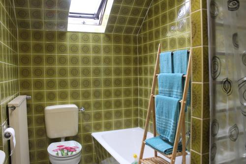 a green tiled bathroom with a chair and a toilet at Ferienwohnung Andrea in Grünebach