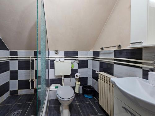 a bathroom with a toilet and a sink at Vacation home Miki in Bajina Bašta