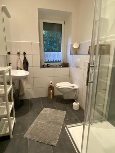 a bathroom with a toilet and a sink and a shower at Pension Gut Runge in Kiebitz