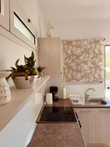 a kitchen with a sink and a counter top at Archangelos Garden House in Archangelos