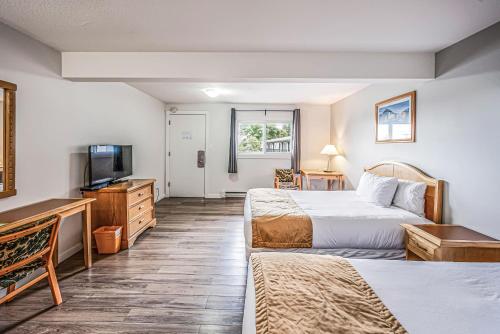 Postel nebo postele na pokoji v ubytování Bluebird Motel