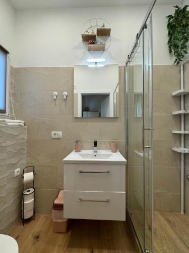 a bathroom with a sink and a shower at Apartman Vasanija in Opatija