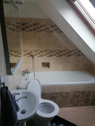 a bathroom with a toilet and a sink at Apartmán Dobrá mysl in Hostinné