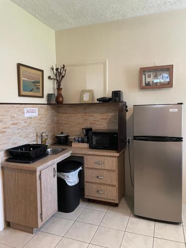 a kitchen with a stainless steel refrigerator and a sink at Albury's Haven in Nassau