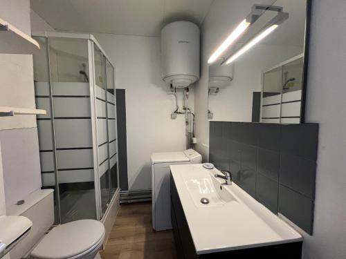 une salle de bain avec un lavabo, des toilettes et un miroir dans l'établissement Studio Stone Brooke, à La Grande Motte