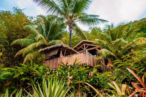 a house in the jungle with a palm tree at West Indies Cottage in Pointe-Noire