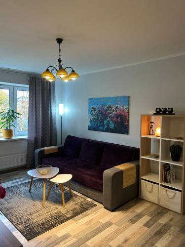 Spacious & cozy apartment, free parking, contact-free entrance