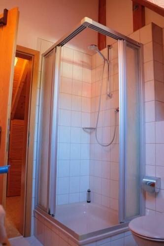 a bathroom with a shower and a toilet at Apartment "Karibuni" im Wanderparadies in Sasbachwalden