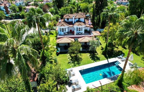 Villa Misli - red/ green