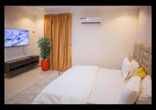 a bedroom with a bed and a flat screen tv at West End Mansion in Ikota