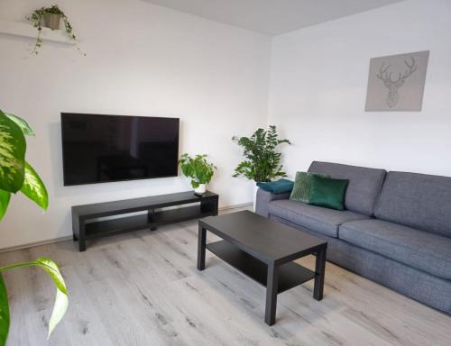 TV a/nebo společenská místnost v ubytování SALAN Apartman NATAL