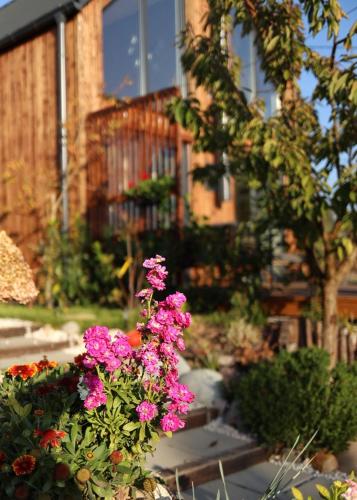 a bunch of pink flowers in front of a building at Czereśniowe Wzgórze Sandomierz jakuzzi in Sandomierz