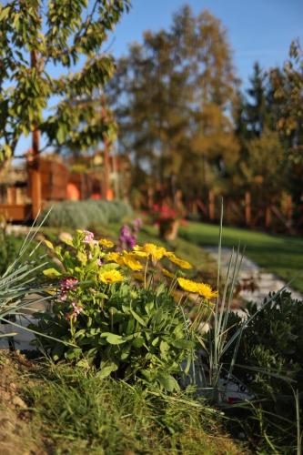 a garden with yellow and purple flowers in a yard at Czereśniowe Wzgórze Sandomierz jakuzzi in Sandomierz