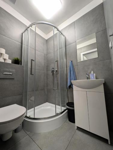 a bathroom with a shower and a toilet and a sink at Baraczek Lotnisko Leszno in Leszno