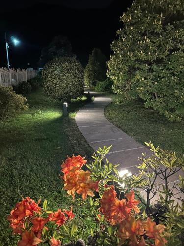 a path in a park at night with flowers at Villa Sofia in Baveno