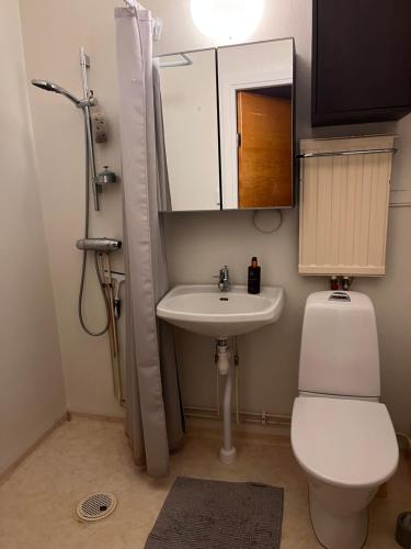 Koupelna v ubytování Room in Falun