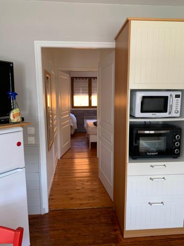 Il comprend une petite cuisine équipée d'un four micro-ondes. dans l'établissement Charmant logement tout confort avec terrasse, à Saint-Amand-les-Eaux