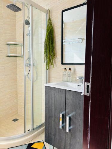 a bathroom with a sink and a shower at Confort au centre ville in Libreville