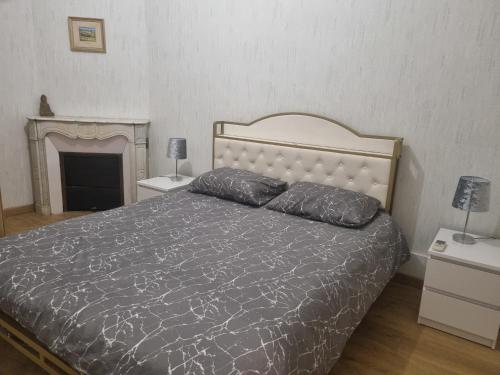 - une chambre avec un lit avec deux oreillers et une cheminée dans l'établissement Appartement au cœur de la ville, à Chalon-sur-Saône