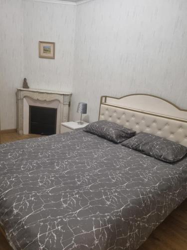a bedroom with a bed and a fireplace at Appartement au cœur de la ville in Chalon-sur-Saône