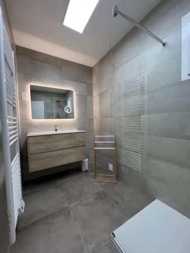 une salle de bain avec un lavabo et un miroir dans l'établissement T4-80m2 superbe vue mer Sant Ambroggio, à Lumio